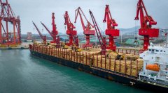<b>同类企业取我们协做供给基</b>